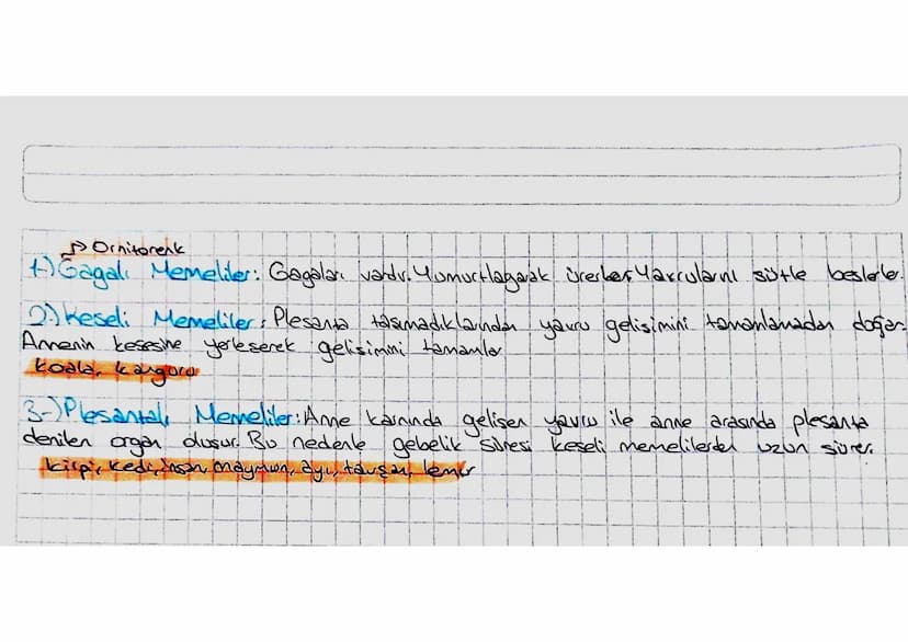 Omurgal Hayvanlar
-Embriyonik dönemde notokardlan vardır. Notokord daha sonra omurga halini alv.
-Sinir stendi sirt bölgesinden geçer
-Kemik