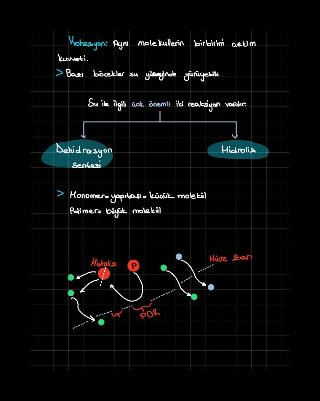 İnorganik Bileşikler
inorganik + organik = canlı
Canlıların Temel Bileşenleri
1. inorganik
1
>Su (H2O)
Asit-Baz-Tuz
>Mineraller
1. inorganik