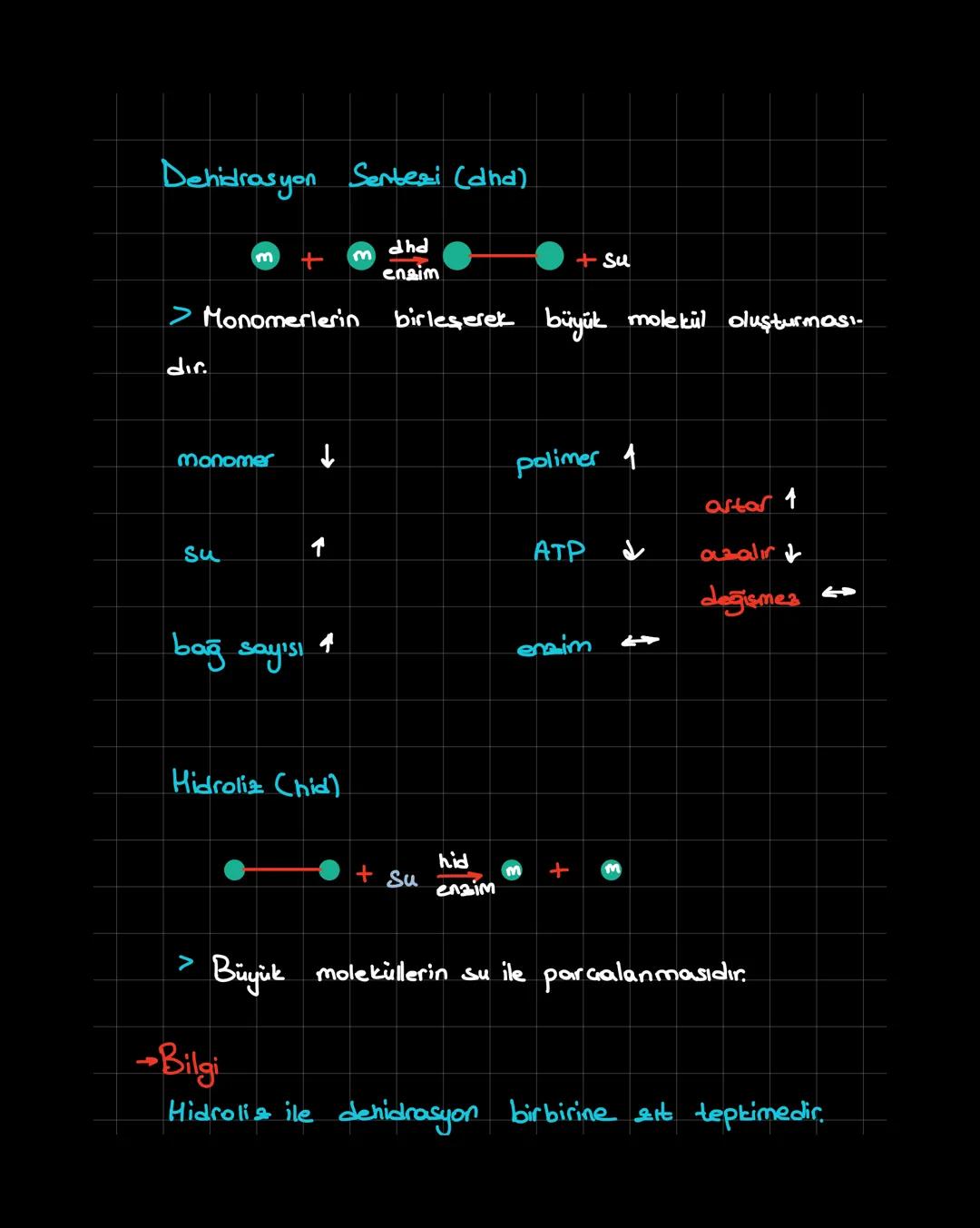 İnorganik Bileşikler
inorganik + organik = canlı
Canlıların Temel Bileşenleri
1. inorganik
1
>Su (H2O)
Asit-Baz-Tuz
>Mineraller
1. inorganik