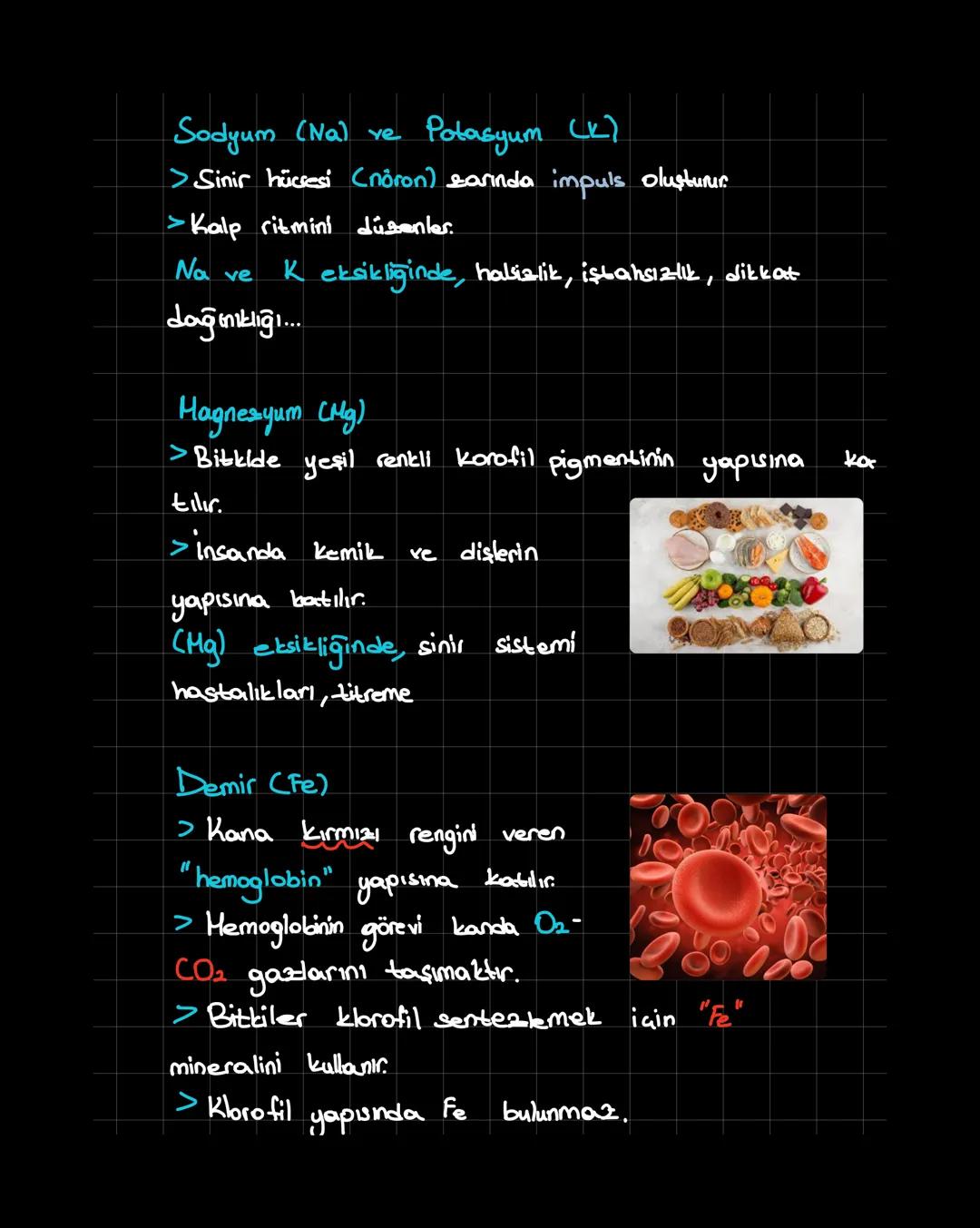 İnorganik Bileşikler
inorganik + organik = canlı
Canlıların Temel Bileşenleri
1. inorganik
1
>Su (H2O)
Asit-Baz-Tuz
>Mineraller
1. inorganik