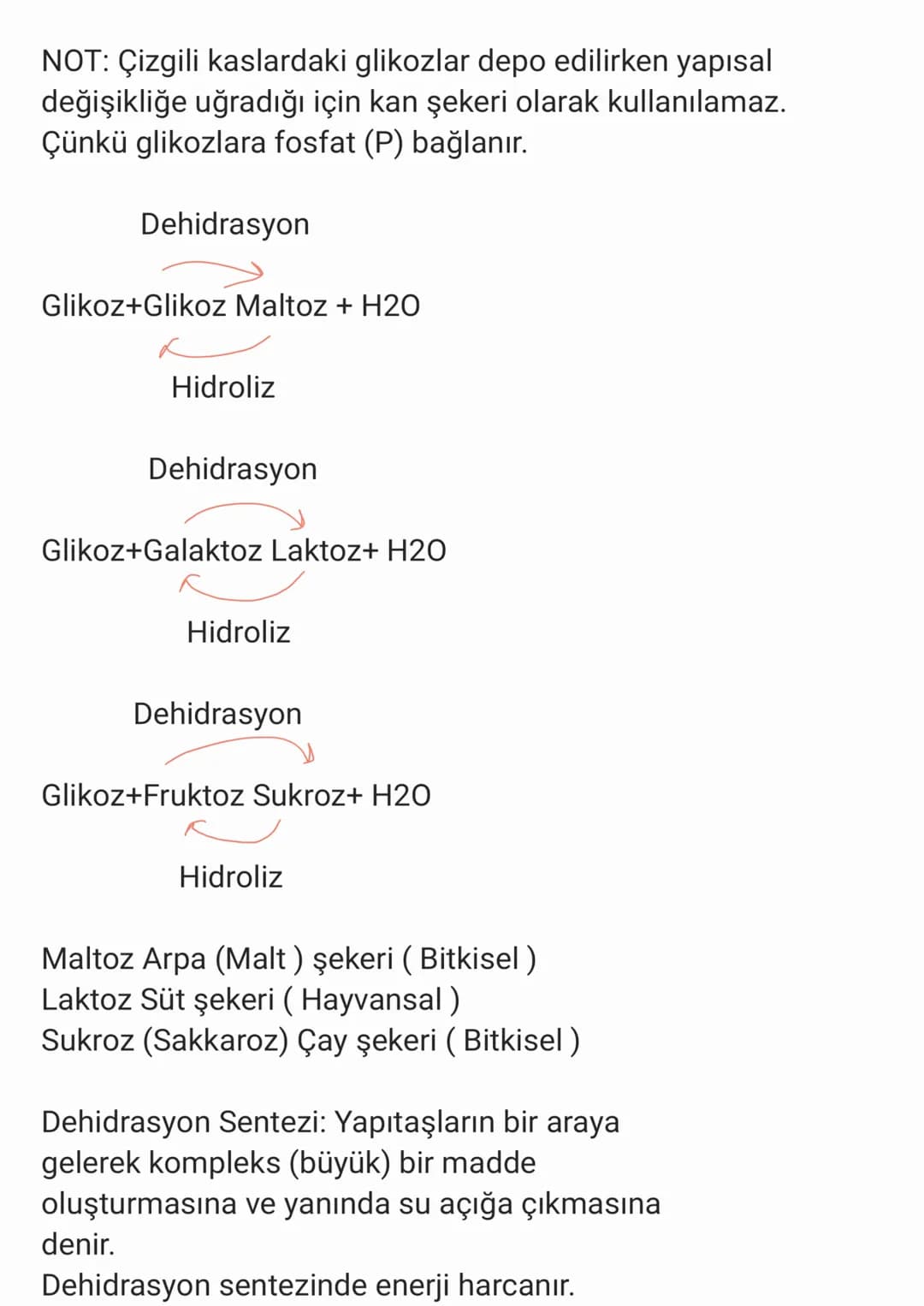 CANLILARIN TEMEL BİLEŞENLERİ
✓ Periyodik cetvelde bulunan elementlerin
sadece 26 tanesi canlıların yapısında görev
alır.
✓ İstisnasız tüm ca
