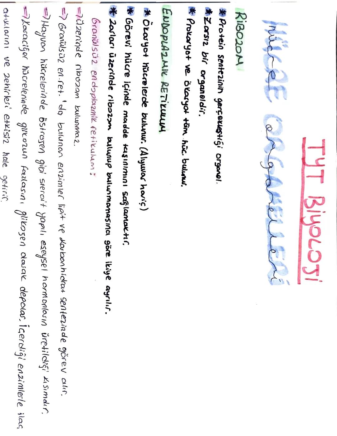 TYT Biyoloji hücre organallei