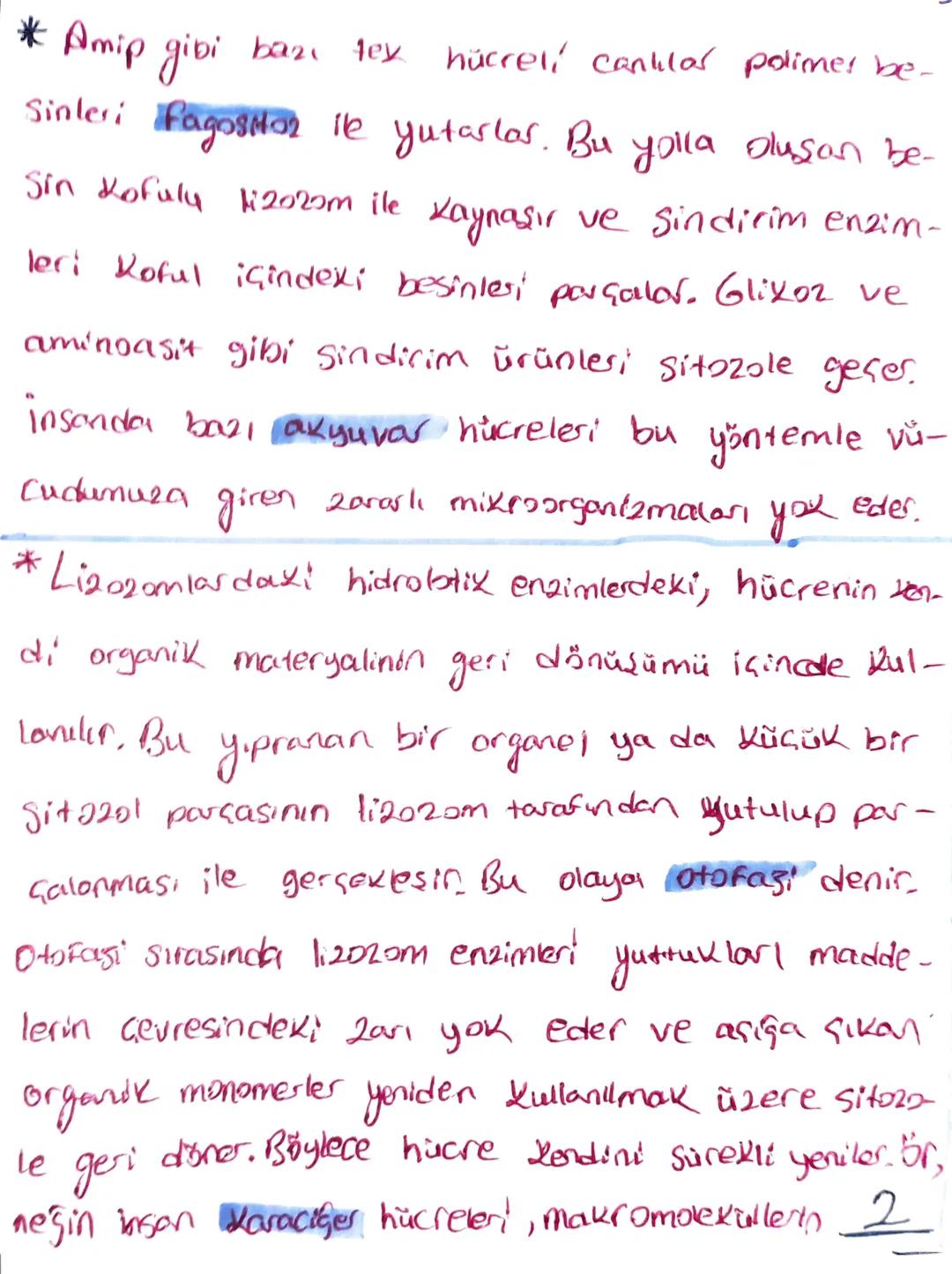 TYT BİYOLOJİ
MARE ORGANER
RiB020M
*Protein sentezinin gerçekleştiği organel.
Zarsız bir organeldir.
Prokaryot ve ökasyot tum huc. bulunur.
E