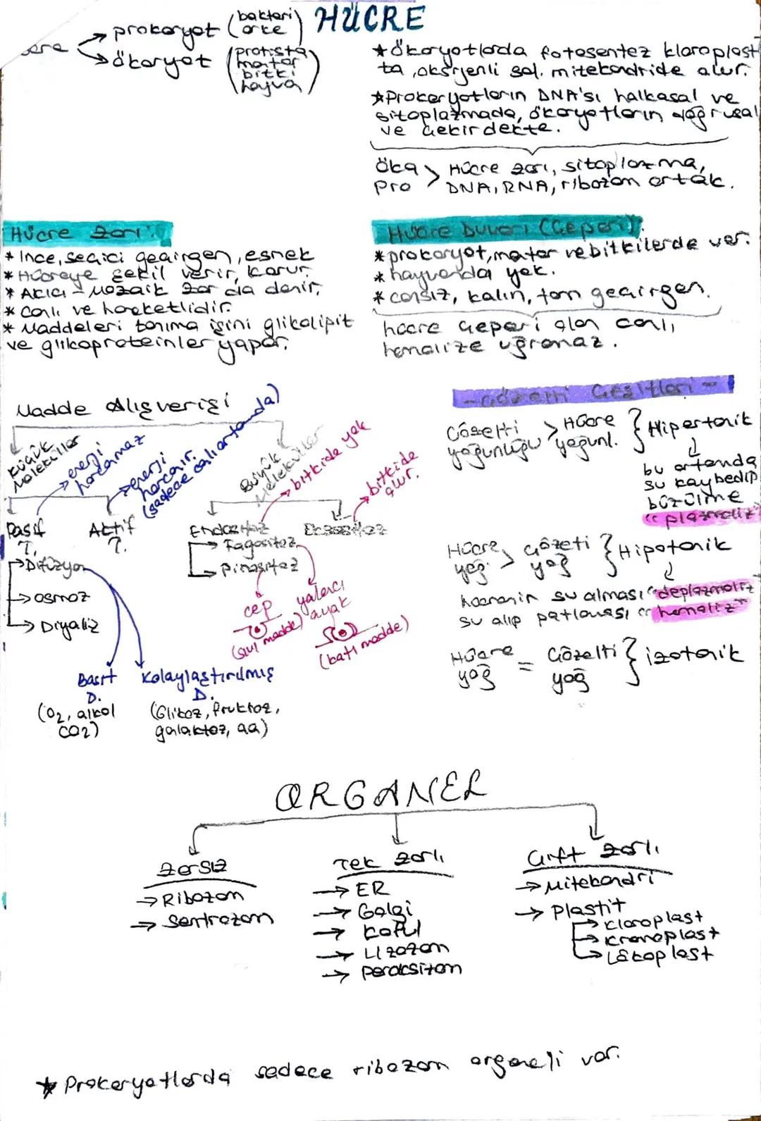 TYT BİYOLOJİ HÜCRE 1