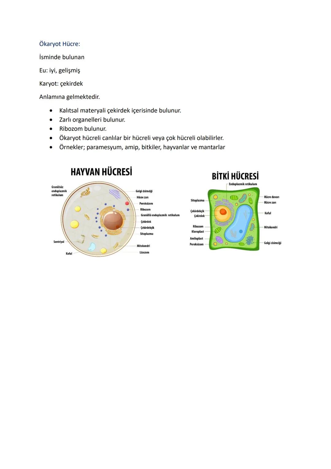 # HÜCRE TEORİSİ; PROKARYOT ve ÖKARYOT HÜCRELER:

Hücre:

Atom, iyon ve moleküller arasındaki etkileşim sayesinde, kendi kendine yetebilen, c