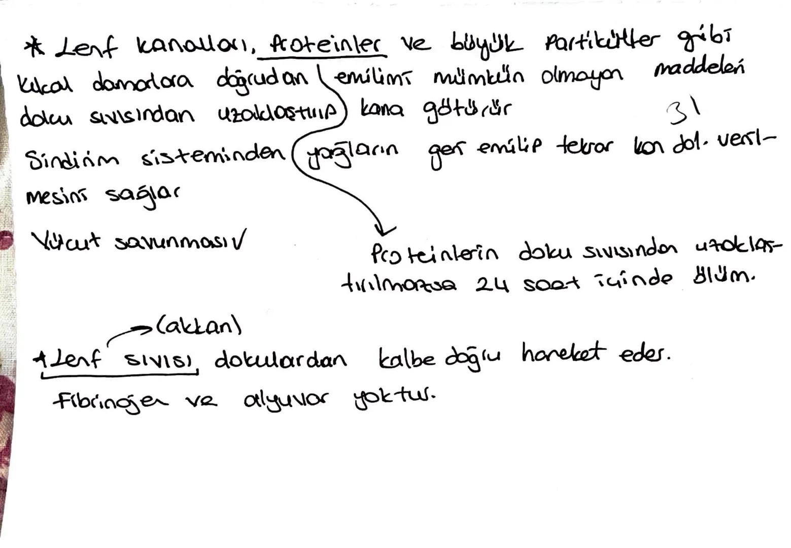 * Lenf kanallari, proteinler ve büyük partikütter gribi
kekal damarlara doğrudan emilimi mümkün olmayan
doku sıvısından uzaklaştırıp kana gö