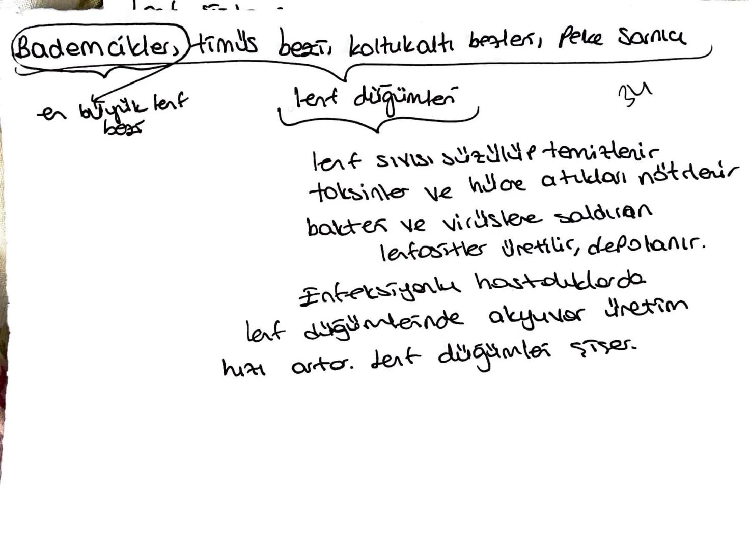 * Lenf kanallari, proteinler ve büyük partikütter gribi
kekal damarlara doğrudan emilimi mümkün olmayan
doku sıvısından uzaklaştırıp kana gö