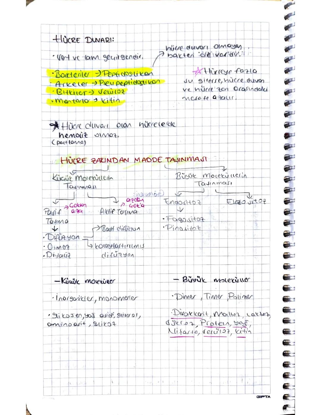 Hücre Zarından Madde Taşınması