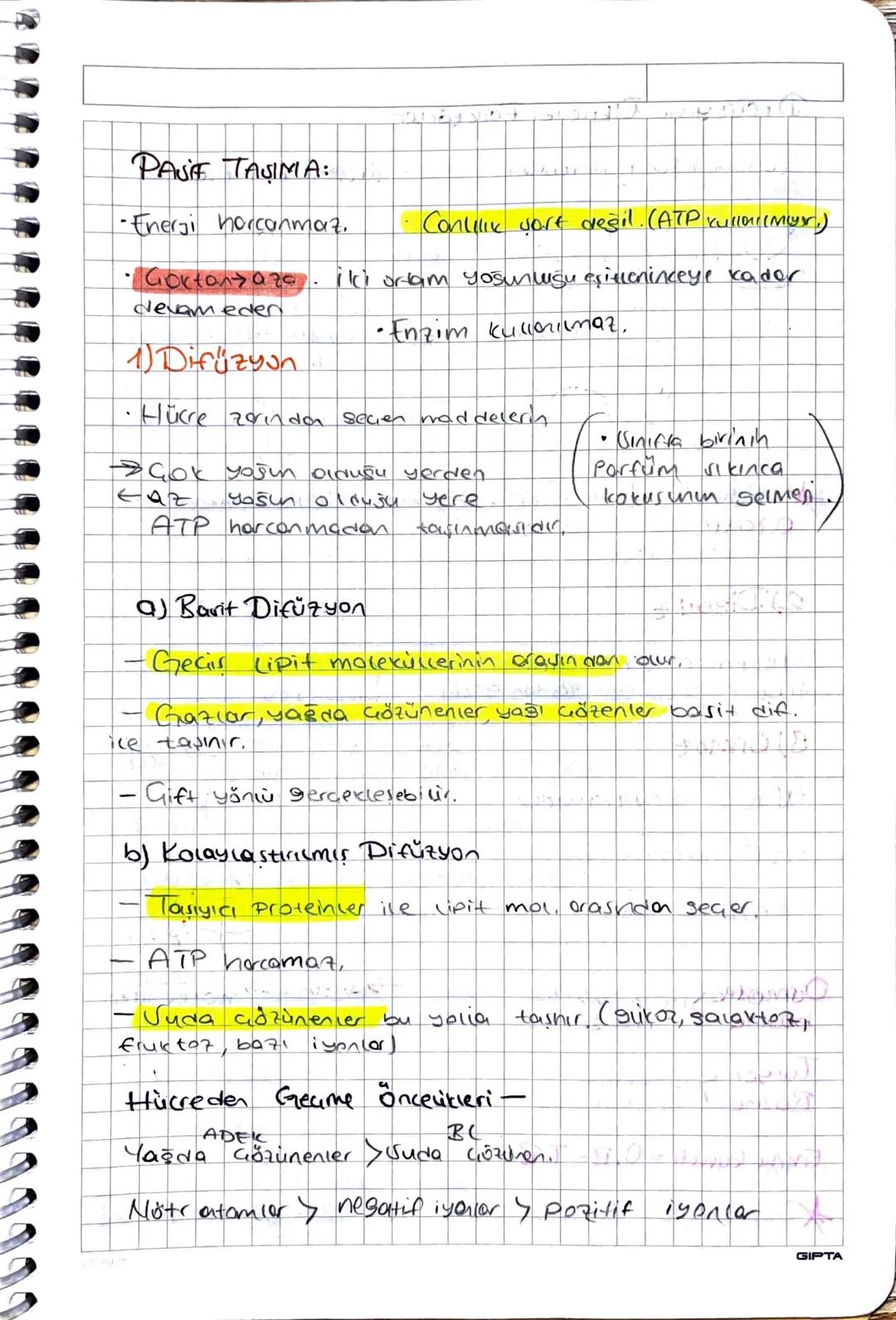 HUCRE DUVARI:
• Vert ve cam geçirgendir.
•Bakteriler Peptides liken.
Arkeler Pseu peptidoglikon
•Bitkiler → Venloz
• Monterior - kitin
hücre