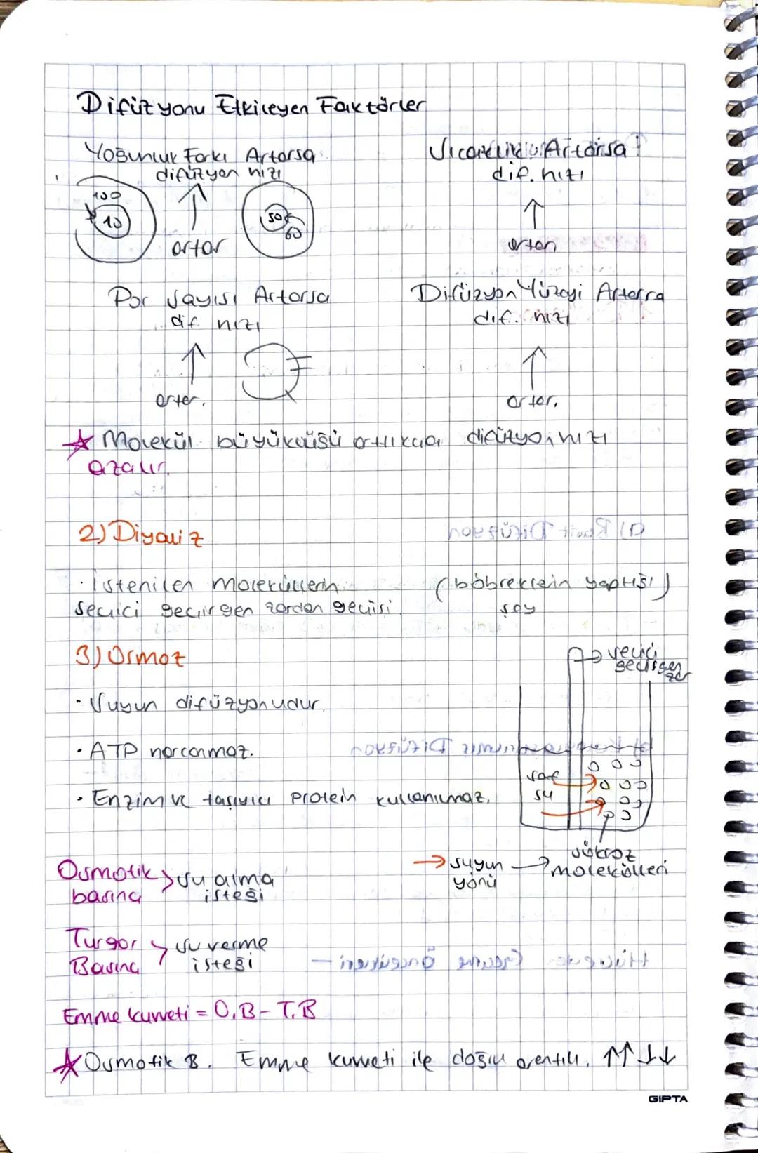 HUCRE DUVARI:
• Vert ve cam geçirgendir.
•Bakteriler Peptides liken.
Arkeler Pseu peptidoglikon
•Bitkiler → Venloz
• Monterior - kitin
hücre