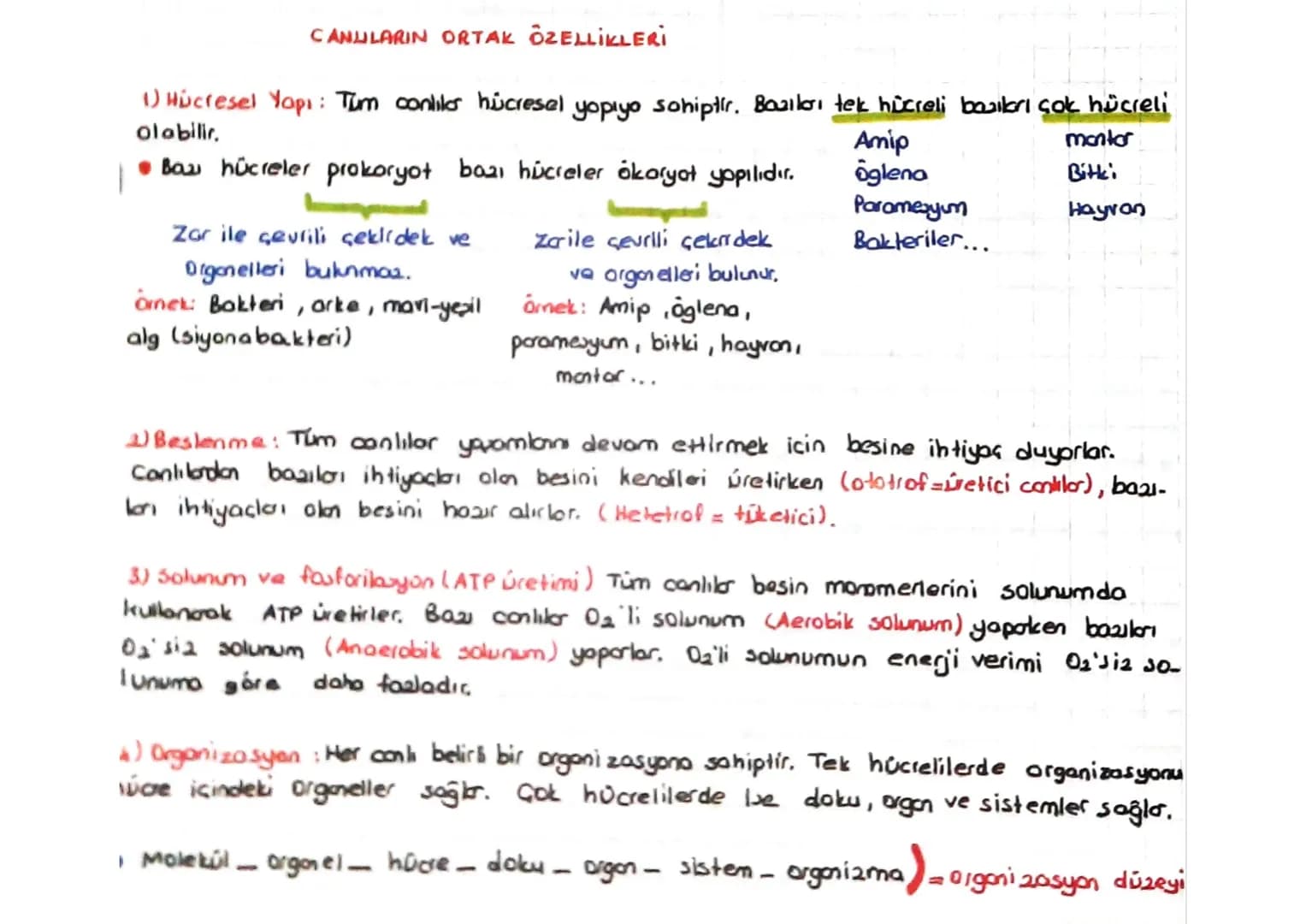 CANULARIN ORTAK ÖZELLİKLERİ
1) Hücresel Yapı: Tum conliler hücresel yapıyo schiptir. Bazıları tek hücreli bazıları çok hücreli
Olabilir.
Bau