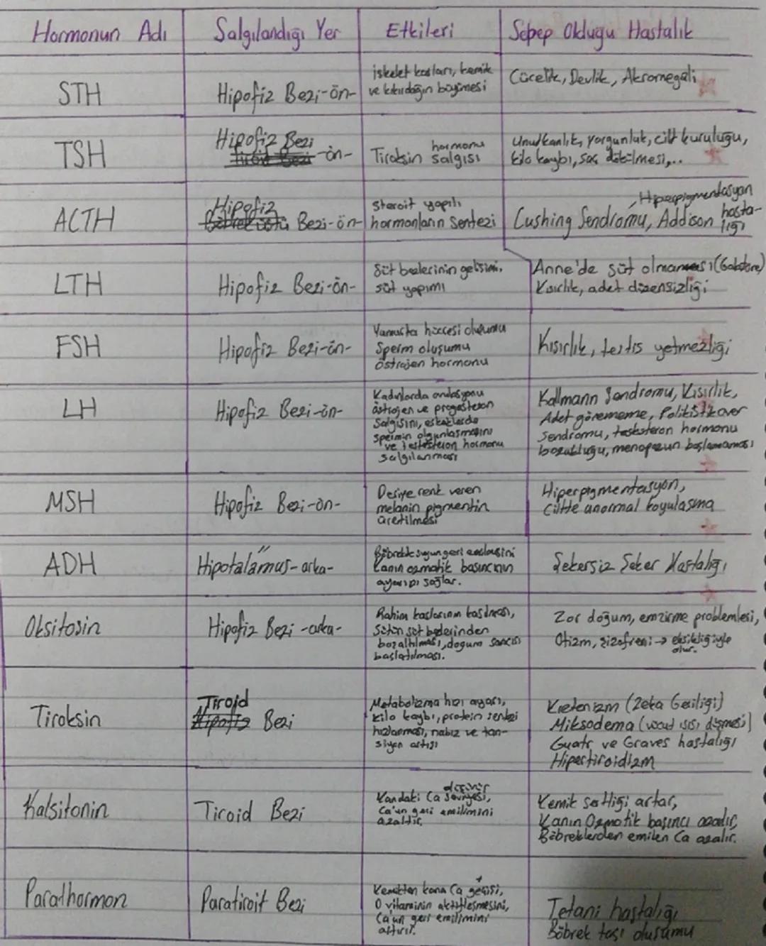 On lop (Frontal lop)
*   Organizasyon, planlama, problem
    çözme, algılama, dikkat ile ilgili
    bilgilerin değerlendirilme bölgesi
*   İ