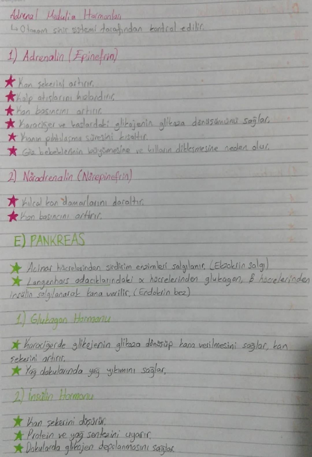 On lop (Frontal lop)
*   Organizasyon, planlama, problem
    çözme, algılama, dikkat ile ilgili
    bilgilerin değerlendirilme bölgesi
*   İ