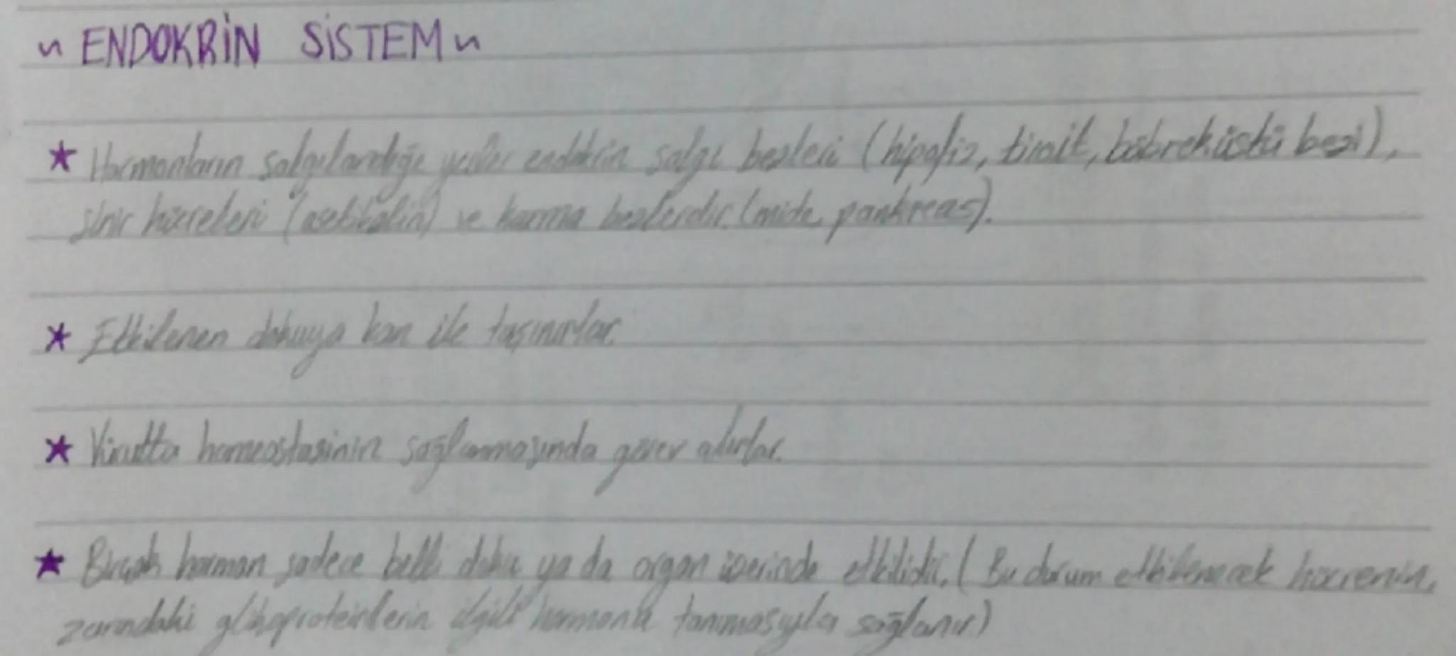 On lop (Frontal lop)
*   Organizasyon, planlama, problem
    çözme, algılama, dikkat ile ilgili
    bilgilerin değerlendirilme bölgesi
*   İ