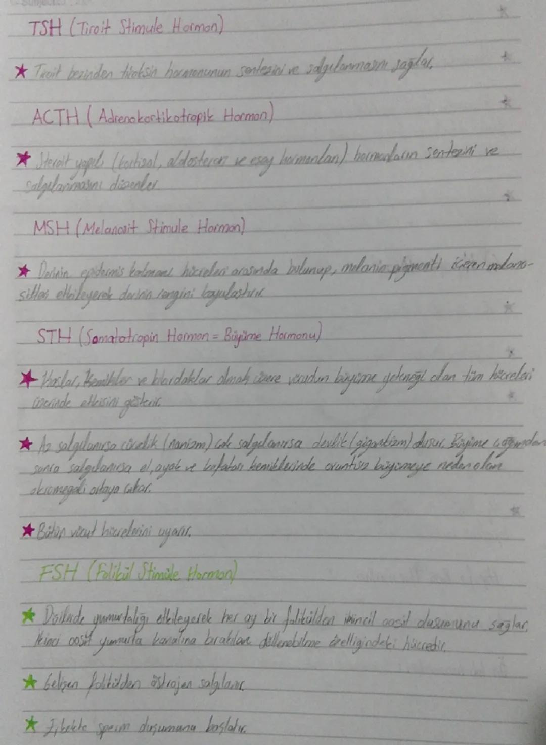 On lop (Frontal lop)
*   Organizasyon, planlama, problem
    çözme, algılama, dikkat ile ilgili
    bilgilerin değerlendirilme bölgesi
*   İ