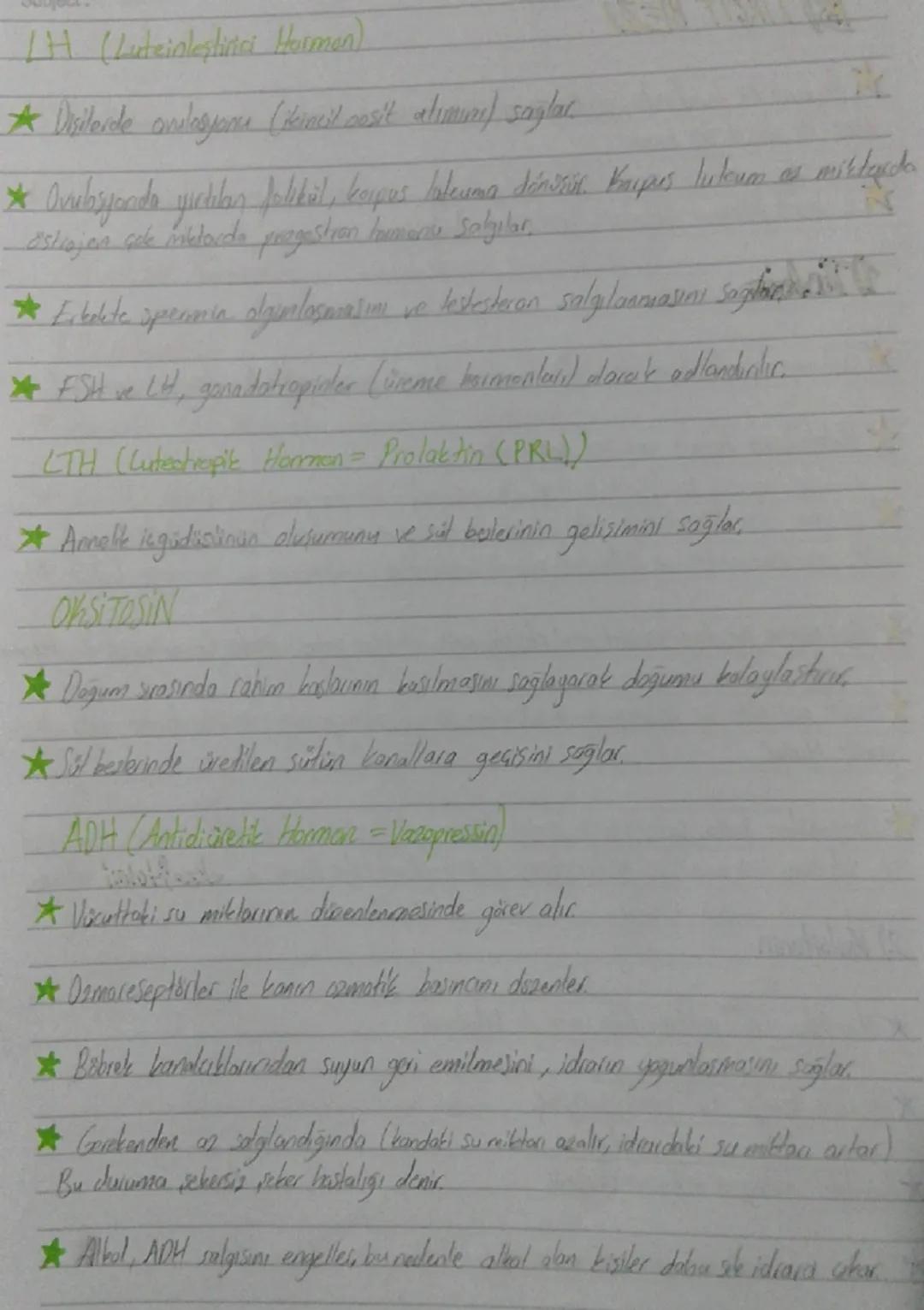 On lop (Frontal lop)
*   Organizasyon, planlama, problem
    çözme, algılama, dikkat ile ilgili
    bilgilerin değerlendirilme bölgesi
*   İ