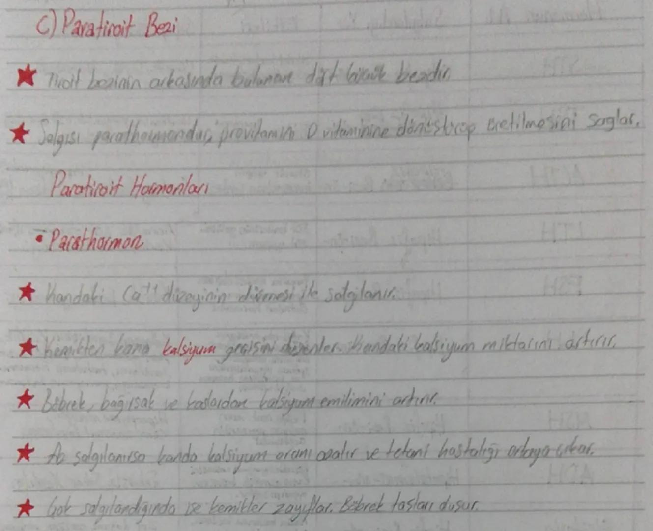 On lop (Frontal lop)
*   Organizasyon, planlama, problem
    çözme, algılama, dikkat ile ilgili
    bilgilerin değerlendirilme bölgesi
*   İ