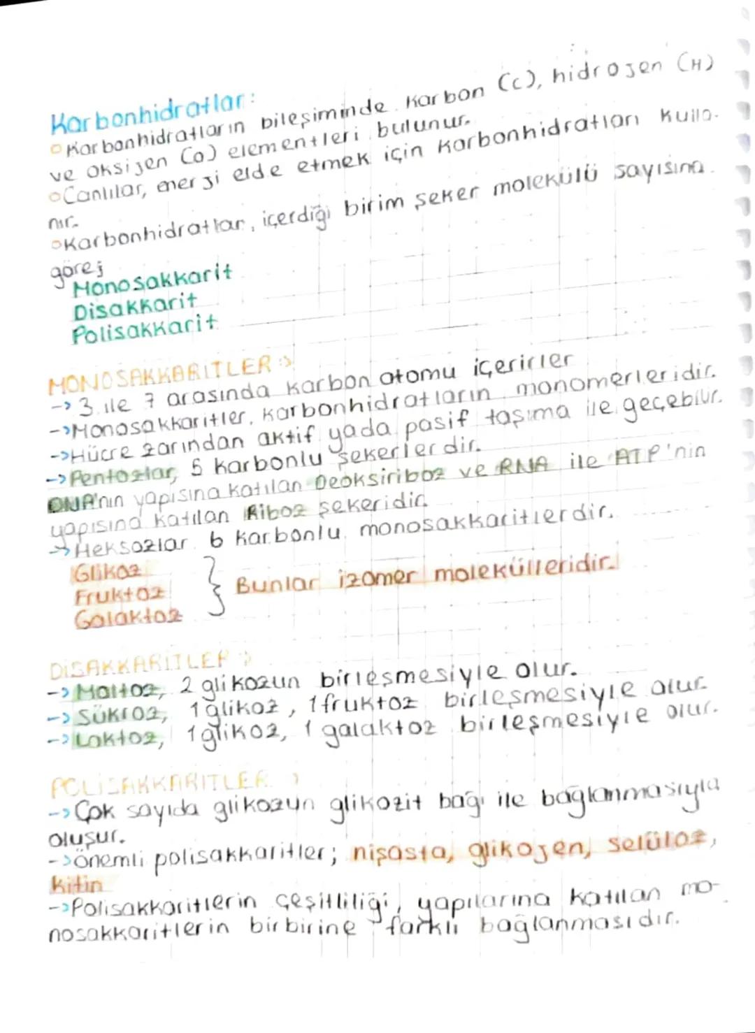 BİYOLOJİ
Ainorganik Bileşikler:
• Su
• Asit
a Baz
0Tuz
• Mineral
-
CANLILARIN
YAPISINDA
BULUNAN
TEMEL BİLEŞİKLER
inorganik bileşikler, temel