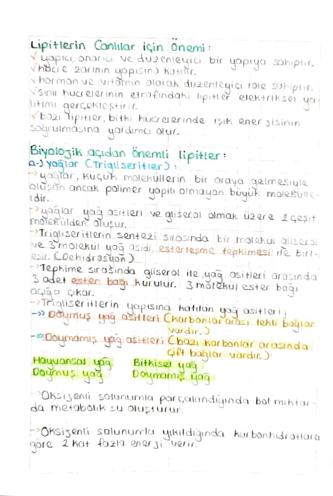 BİYOLOJİ
Ainorganik Bileşikler:
• Su
• Asit
a Baz
0Tuz
• Mineral
-
CANLILARIN
YAPISINDA
BULUNAN
TEMEL BİLEŞİKLER
inorganik bileşikler, temel