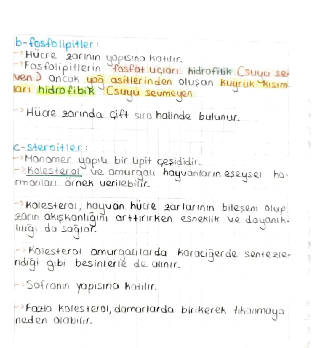 BİYOLOJİ
Ainorganik Bileşikler:
• Su
• Asit
a Baz
0Tuz
• Mineral
-
CANLILARIN
YAPISINDA
BULUNAN
TEMEL BİLEŞİKLER
inorganik bileşikler, temel