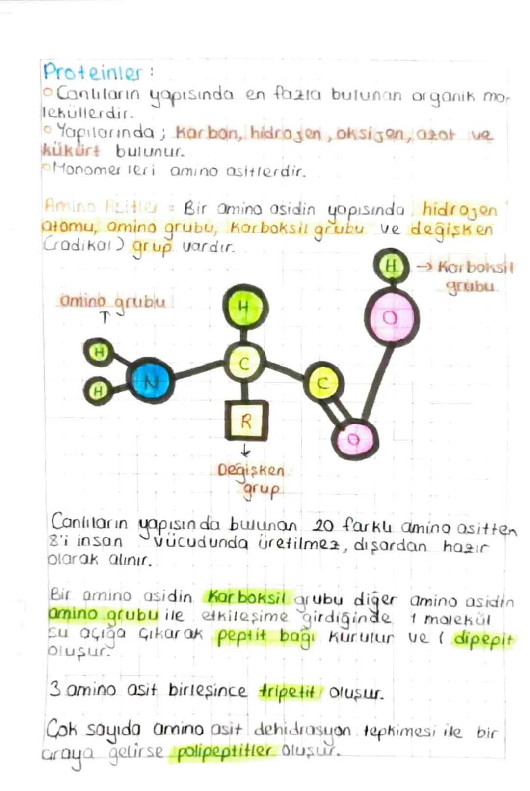 BİYOLOJİ
Ainorganik Bileşikler:
• Su
• Asit
a Baz
0Tuz
• Mineral
-
CANLILARIN
YAPISINDA
BULUNAN
TEMEL BİLEŞİKLER
inorganik bileşikler, temel