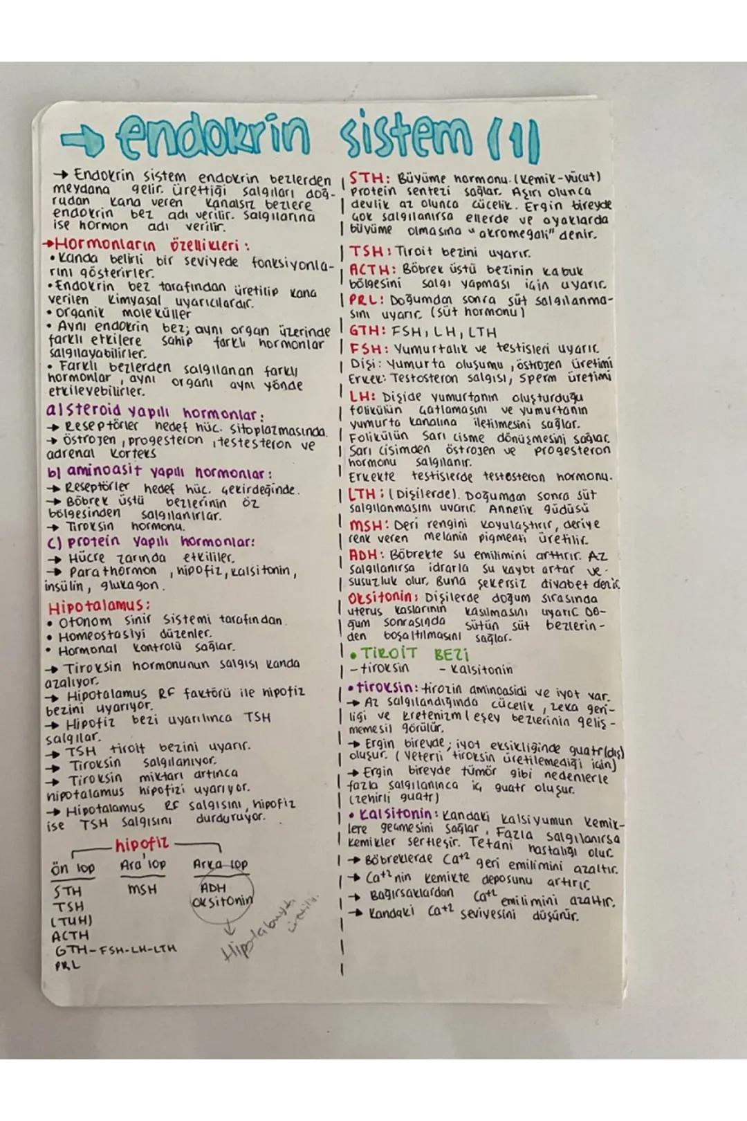 endokrin sistem (1)
Endokrin sistem endokrin bezlerden
meydana gelir. ürettiği salgıları doğ-
rudan Kana veren Kanalsız bezlere
endokrin bez