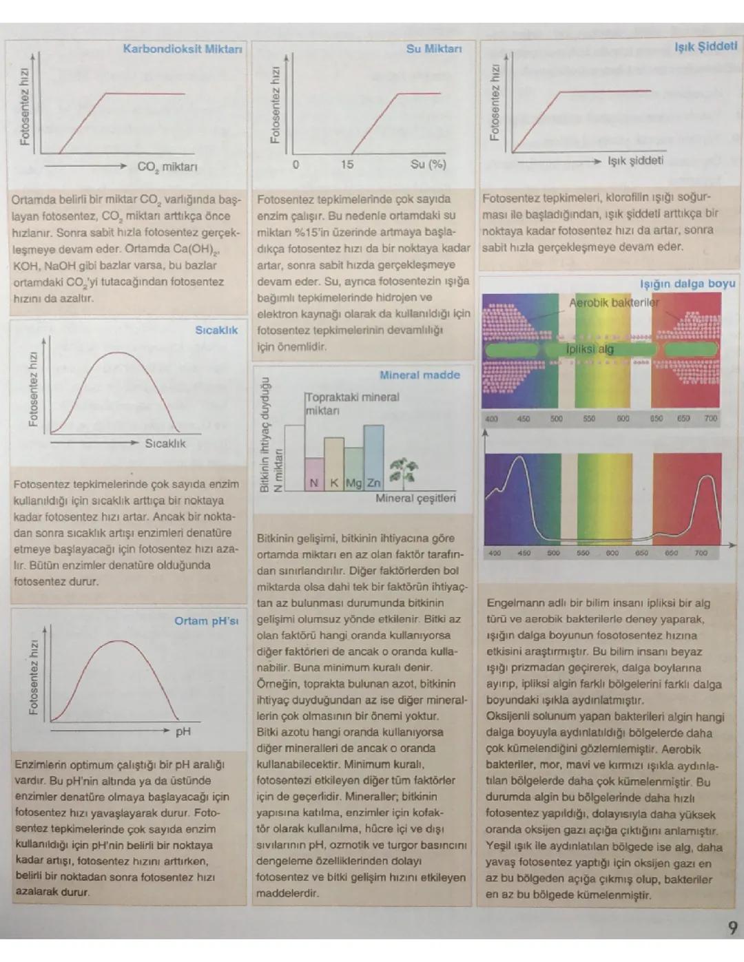 Fotosentez hızını etkileyen faktörler 