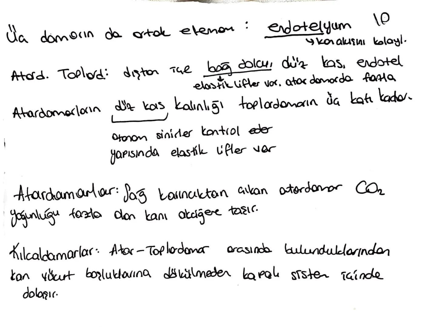 la domorin de ortak elemen:
10
endotelyum
Skan akışını kolayl.
Atord. Toplard: dişton The bag dolcu, düz kas, endotel
elastik lifter var, at