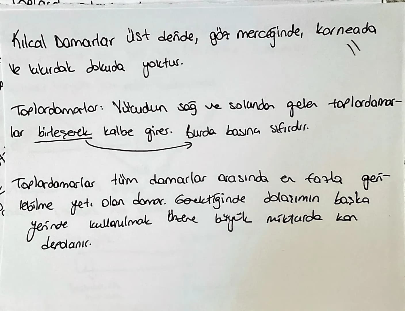 la domorin de ortak elemen:
10
endotelyum
Skan akışını kolayl.
Atord. Toplard: dişton The bag dolcu, düz kas, endotel
elastik lifter var, at