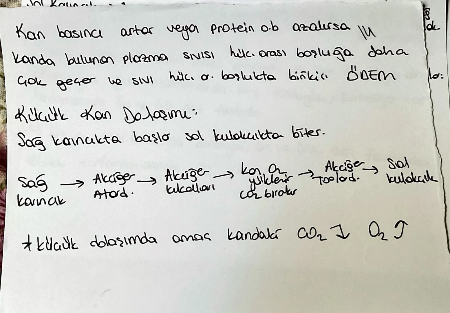 la domorin de ortak elemen:
10
endotelyum
Skan akışını kolayl.
Atord. Toplard: dişton The bag dolcu, düz kas, endotel
elastik lifter var, at