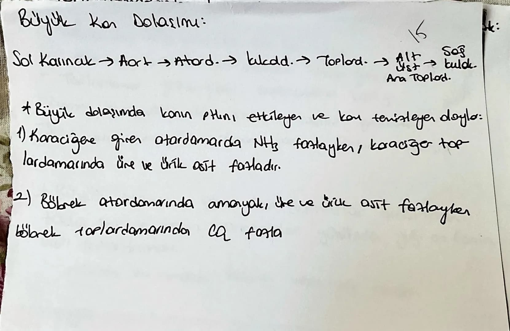 la domorin de ortak elemen:
10
endotelyum
Skan akışını kolayl.
Atord. Toplard: dişton The bag dolcu, düz kas, endotel
elastik lifter var, at