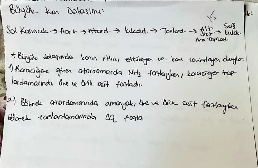 la domorin de ortak elemen:
10
endotelyum
Skan akışını kolayl.
Atord. Toplard: dişton The bag dolcu, düz kas, endotel
elastik lifter var, at