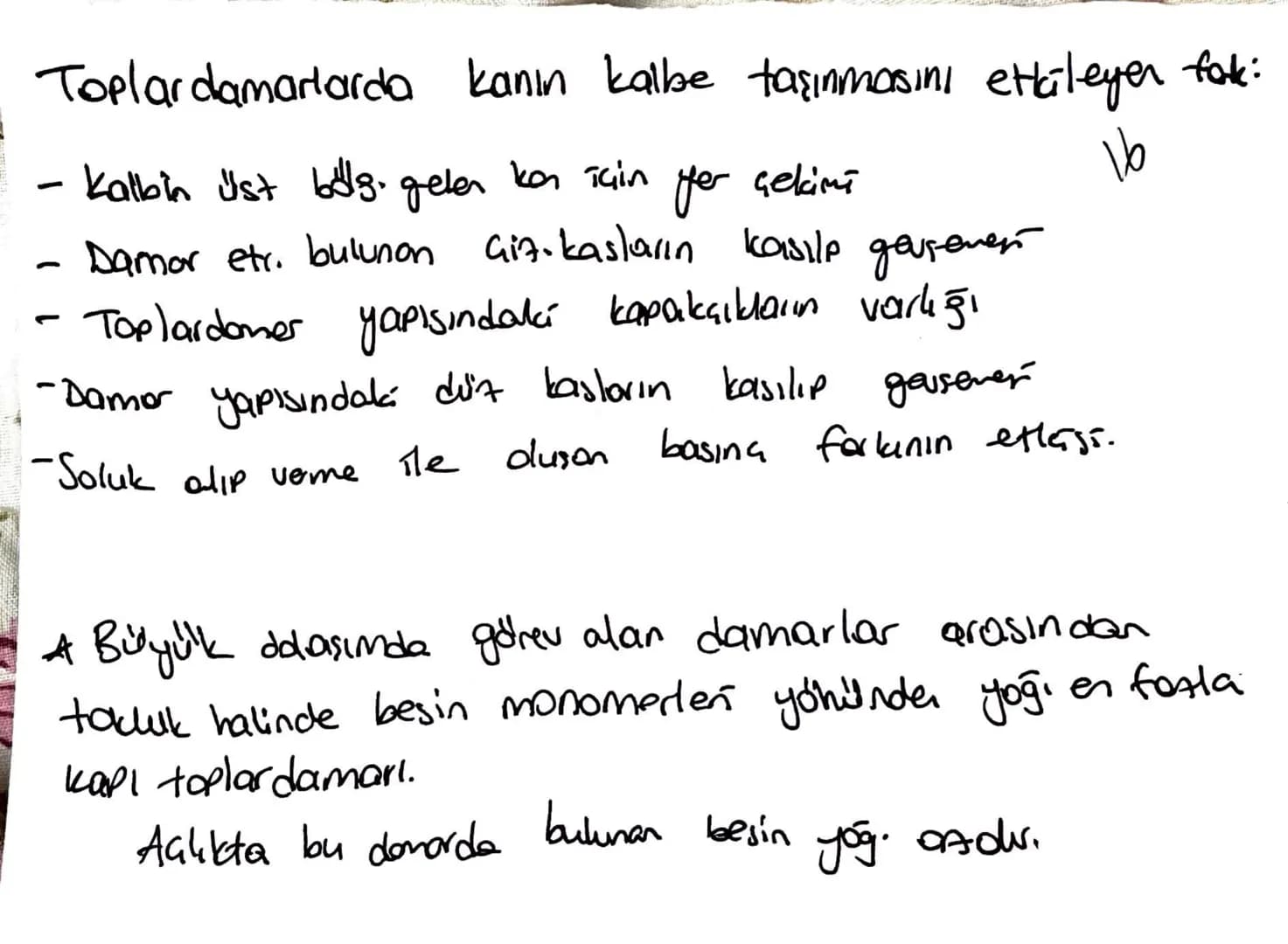 la domorin de ortak elemen:
10
endotelyum
Skan akışını kolayl.
Atord. Toplard: dişton The bag dolcu, düz kas, endotel
elastik lifter var, at