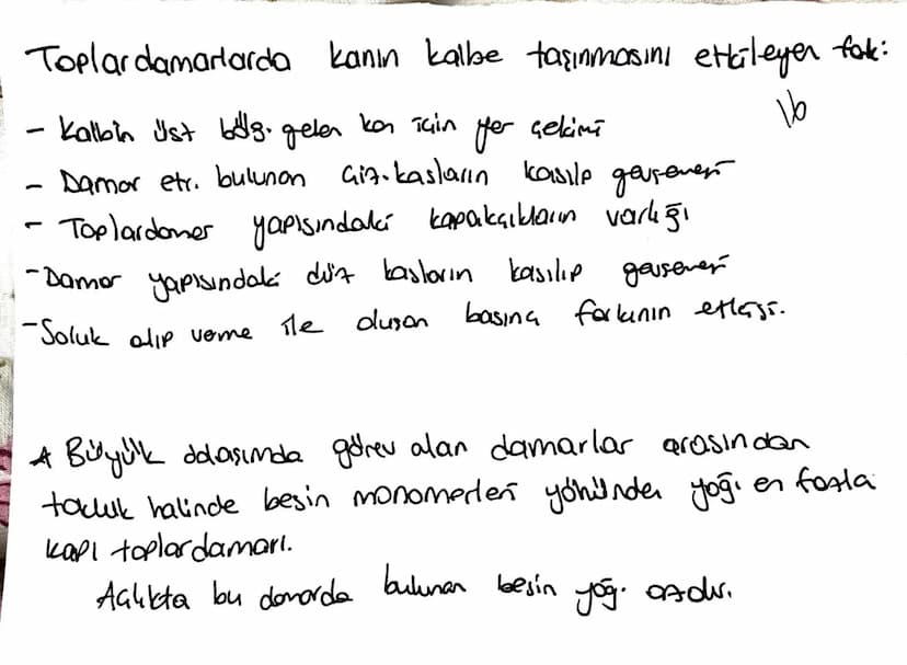 la domorin de ortak elemen:
10
endotelyum
Skan akışını kolayl.
Atord. Toplard: dişton The bag dolcu, düz kas, endotel
elastik lifter var, at