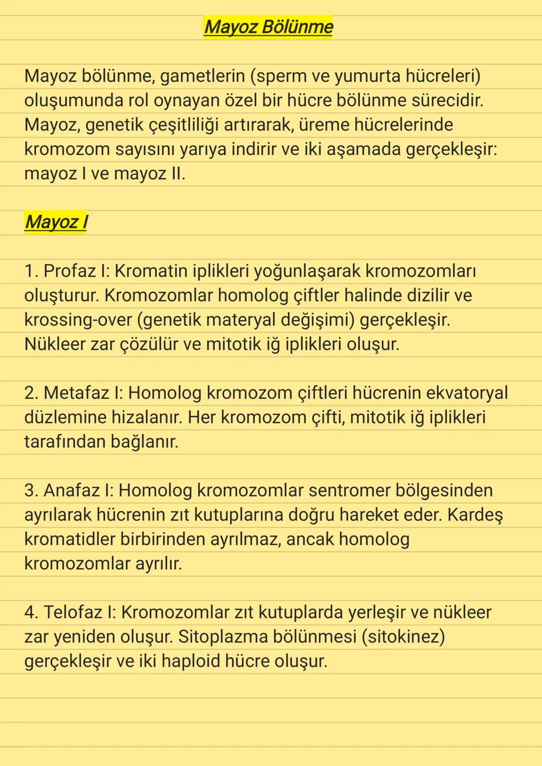 Mayoz Bölünme
Mayoz bölünme, gametlerin (sperm ve yumurta hücreleri)
oluşumunda rol oynayan özel bir hücre bölünme sürecidir.
Mayoz, genetik