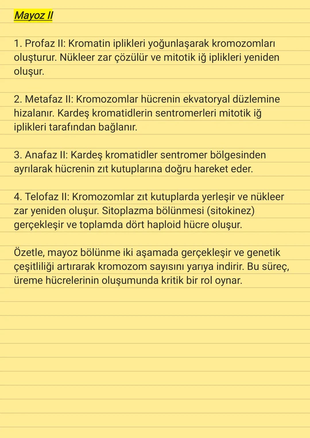 Mayoz Bölünme
Mayoz bölünme, gametlerin (sperm ve yumurta hücreleri)
oluşumunda rol oynayan özel bir hücre bölünme sürecidir.
Mayoz, genetik