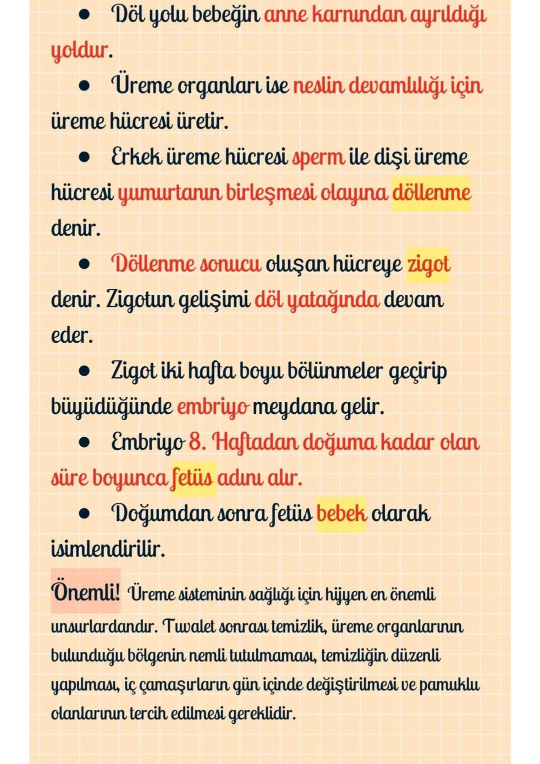 6. Canlılarda Üreme Büyüme ve Gelişme
İnsanda Üreme, Büyüme ve Gelişme
Erkek üreme organları testisler, sperm kanalları,
salgi bezleri ve pe