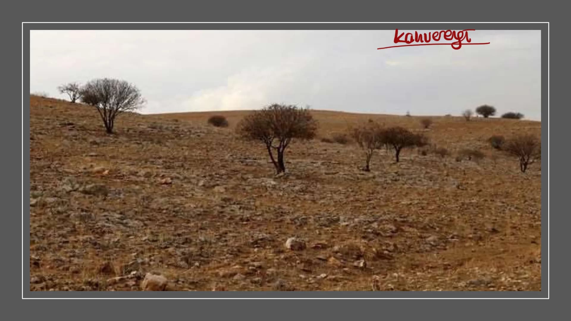 TÜRKİYE'DE SU, TOPRAK
VE BİTKİ 3ve4. zama
Türkiye'nin Akarsuları
Kaynakları yüksek dağlık sahalardır.
Yatak eğimleri fazladır.
Bu yüzden;
1.