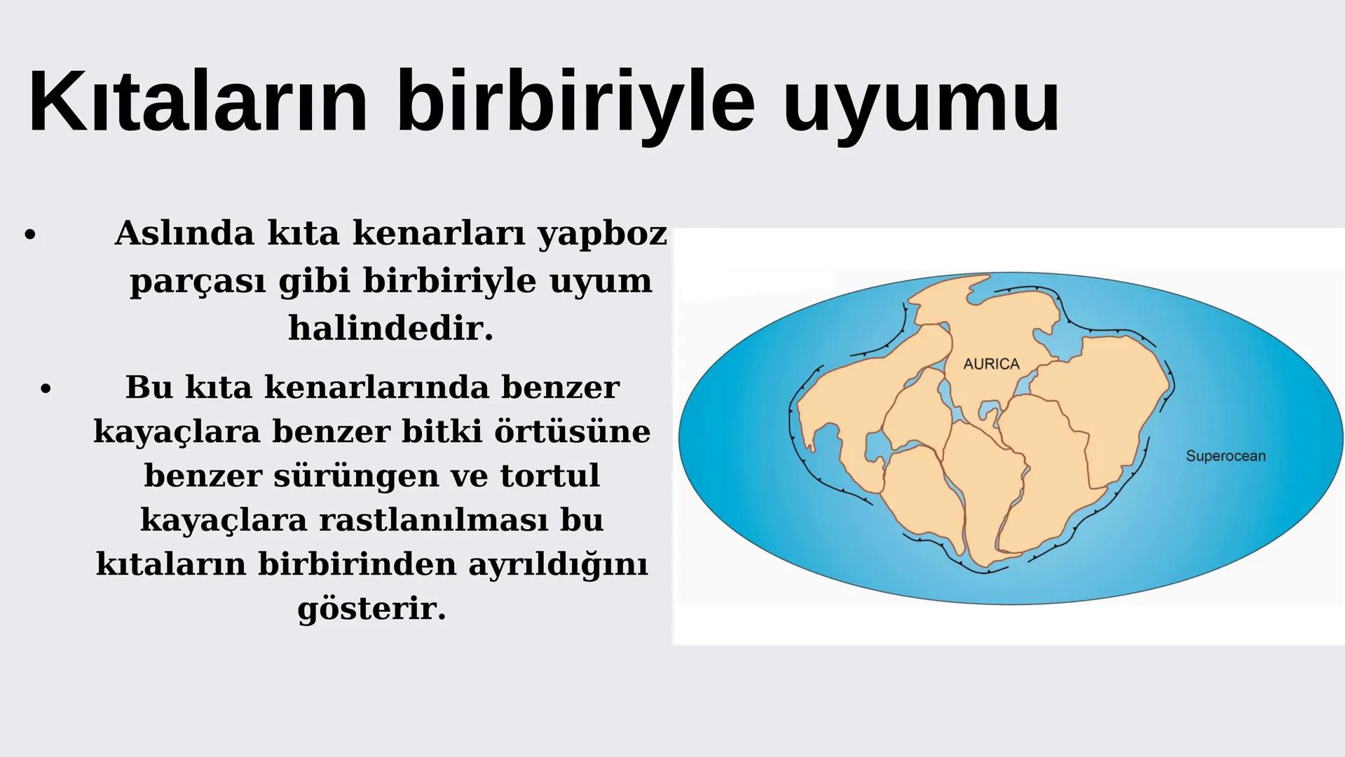 COĞRAFİ
KONUM COGRAFKONUM
Coğrafyada konum mutlak ve göreceli olmak üzere2 ye ayrılır.
mutlak konum: Dünyada bir yerin enlem boylamınal
bakı