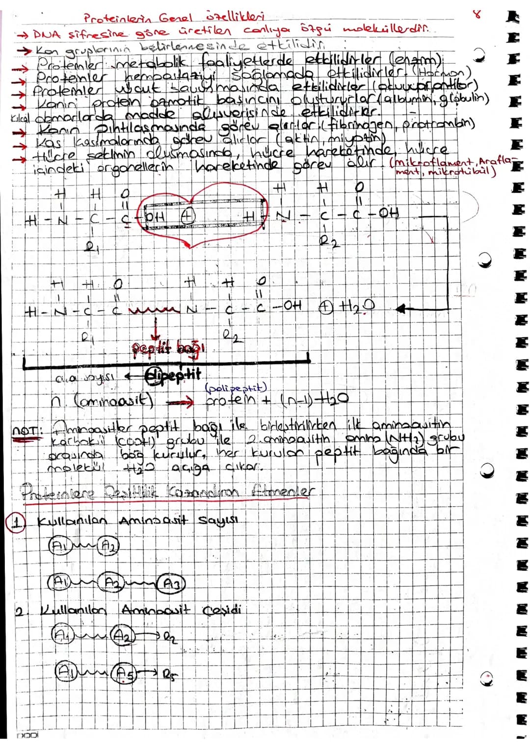 Proteinlerin Genel özellikleri
→DNA şifresine göne üretilen canlıya özgü molekillerdir.
•Ken gruplarinin belirlemesinde etkilidir.
४
Proteml