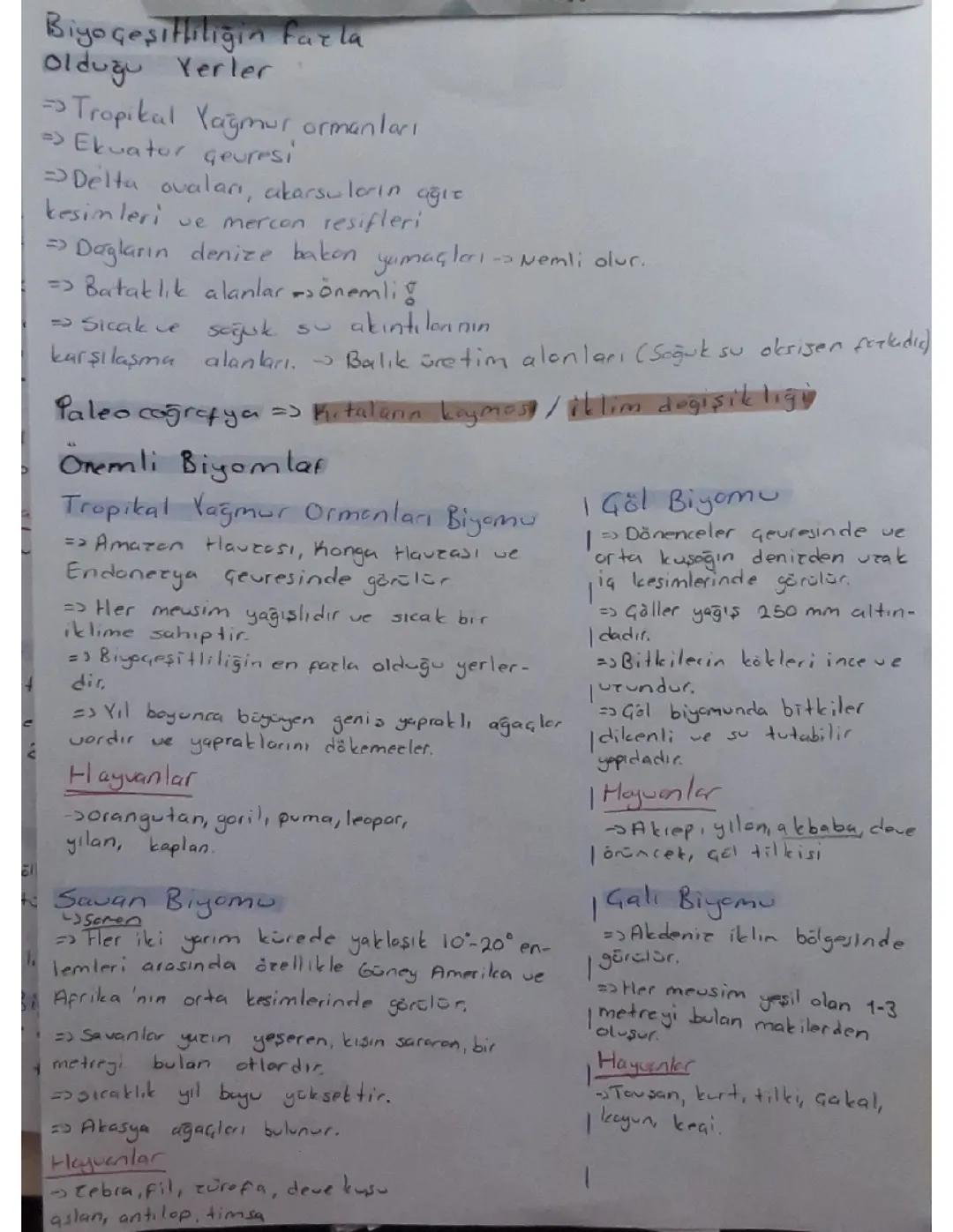 11.sınıf coğrafya biyoçeşitlilik