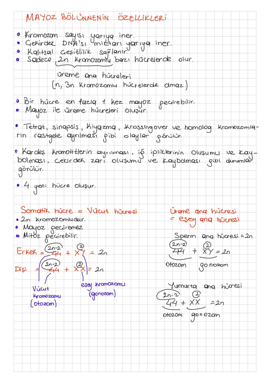 MAYOZ BÖLÜNMENİN ÖZELLİKLERİ
• Kromozom sayısı
iner.
Gekirdek DNA's, Yaya it
_yariya
iner.
• Kalitsal Geşitlilik sağlanır.
0 Sadece 2n Kromo