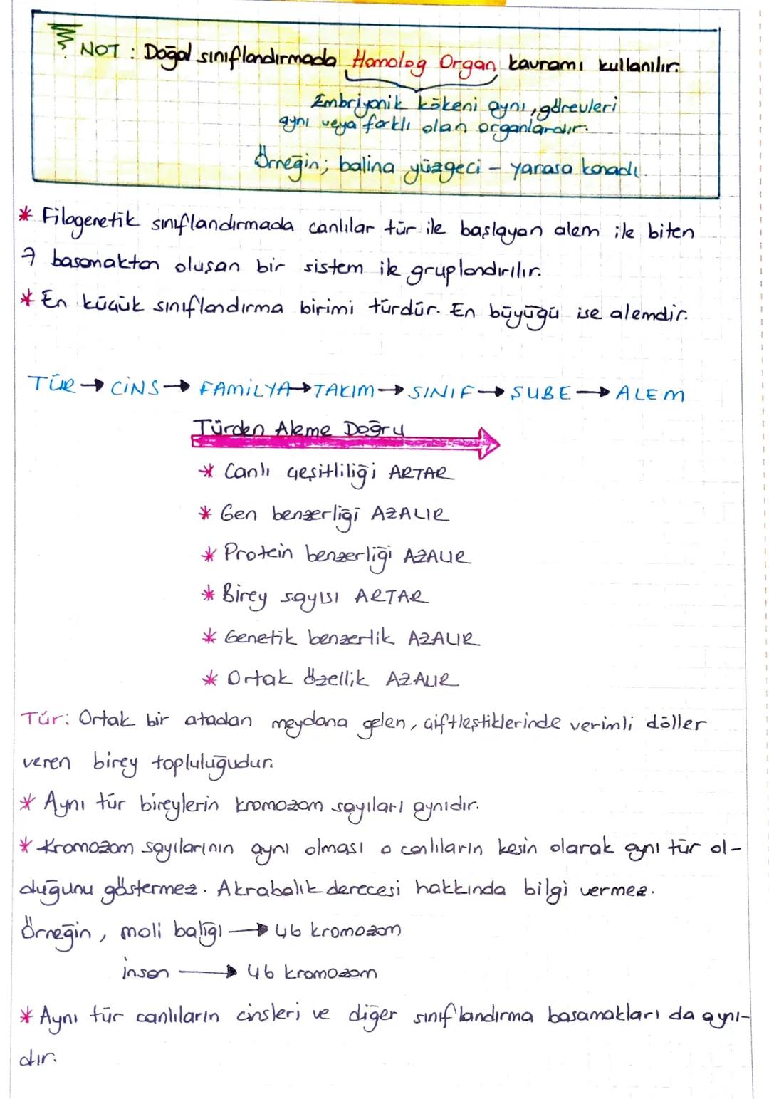 3. UNITE: CANLILAR DÜNYASI
CANLILARIN GEŞİTLİLİĞİ VE SINIFLANDIRILMASI
Siniflandırma:
1: Canlıların benzerlik ve farklılıklarına, akrabalık 