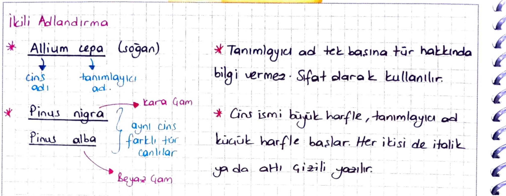 3. UNITE: CANLILAR DÜNYASI
CANLILARIN GEŞİTLİLİĞİ VE SINIFLANDIRILMASI
Siniflandırma:
1: Canlıların benzerlik ve farklılıklarına, akrabalık 