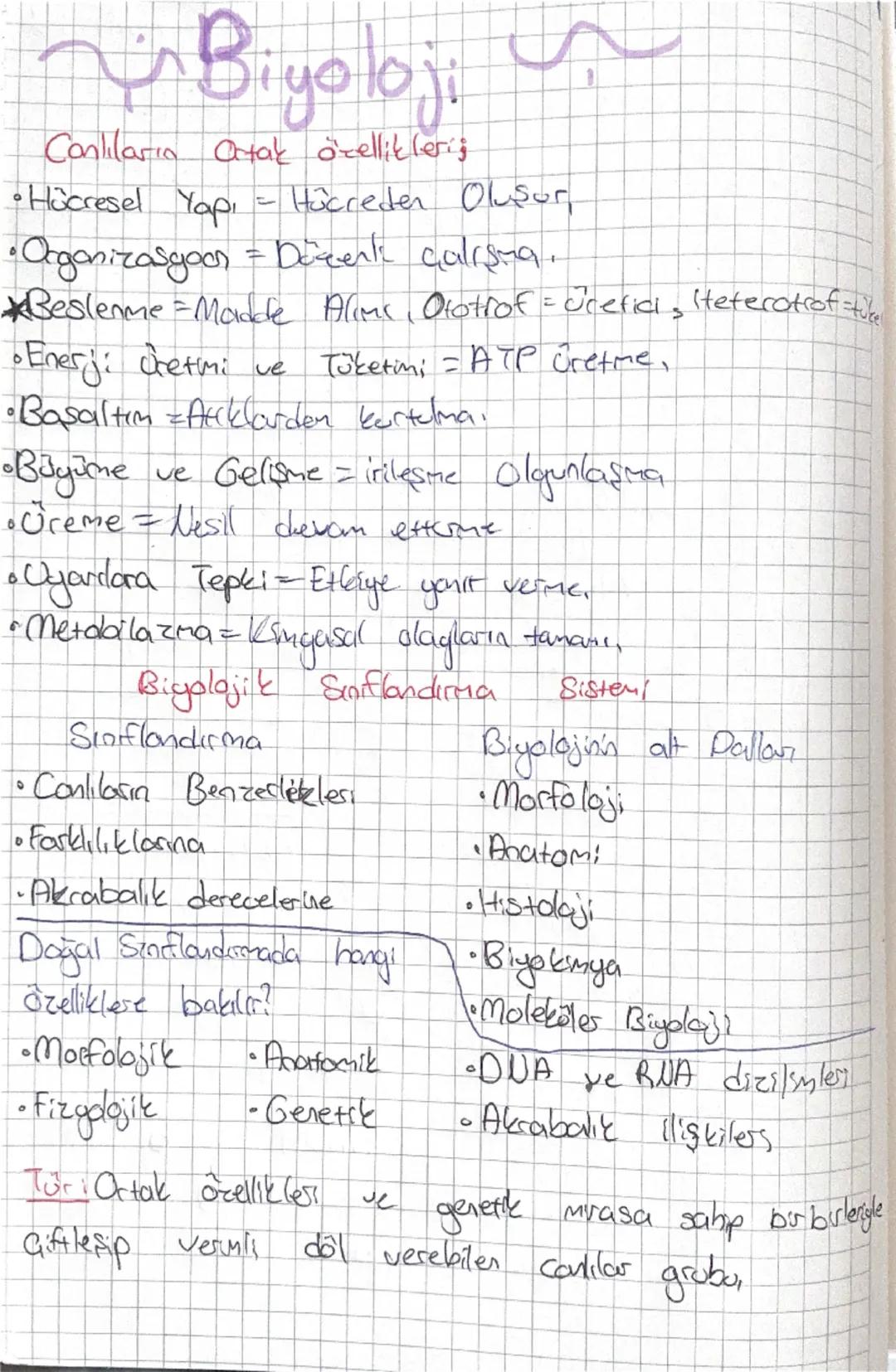 # Biyoloji

Canlıların artak özelliklerij
*   Hücresel Yapı - Hücreden Oluşur,
*   Organizasyoon = Decenı çalışma.
Beslenme Madde
Alims, Oto