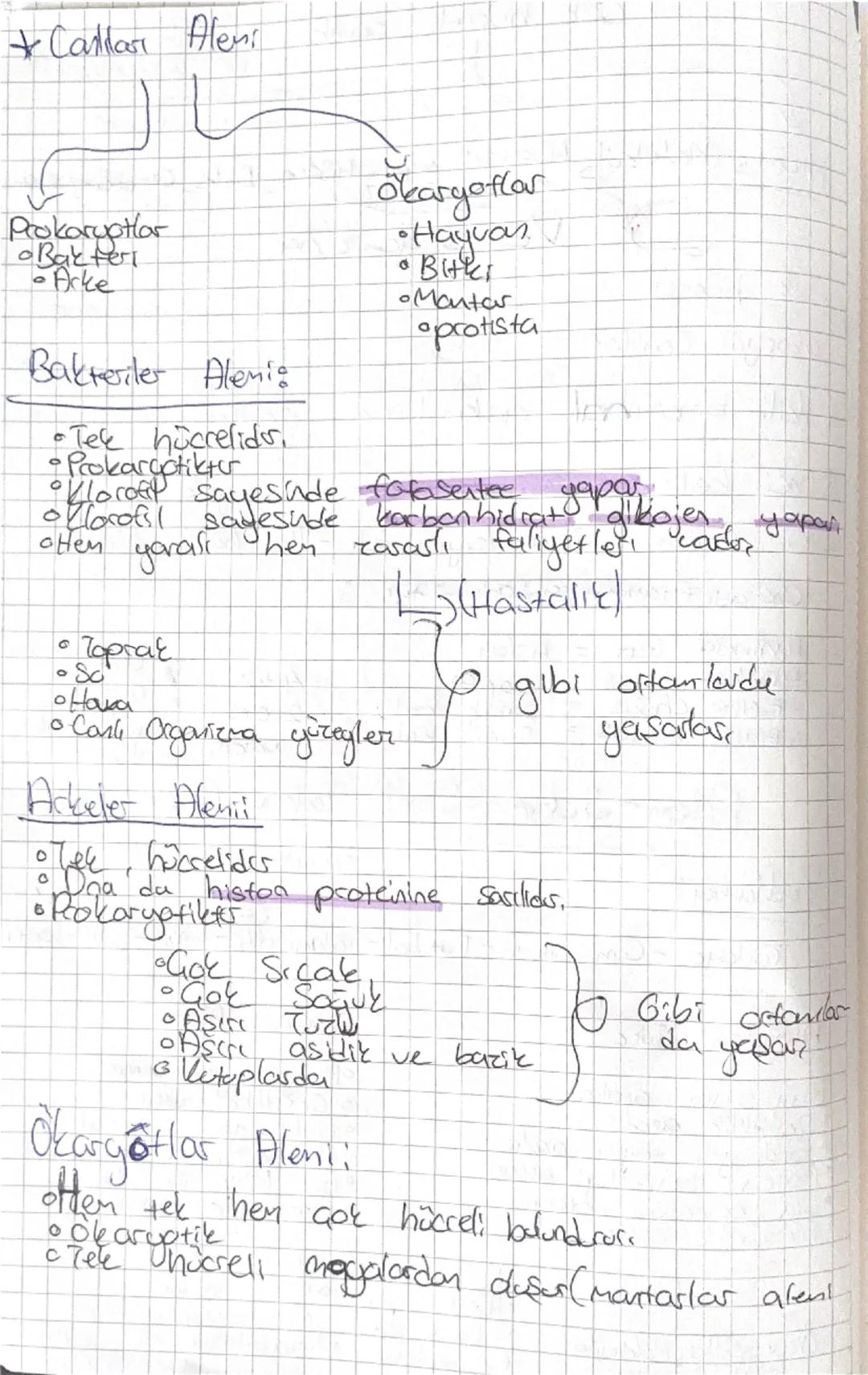 # Biyoloji

Canlıların artak özelliklerij
*   Hücresel Yapı - Hücreden Oluşur,
*   Organizasyoon = Decenı çalışma.
Beslenme Madde
Alims, Oto