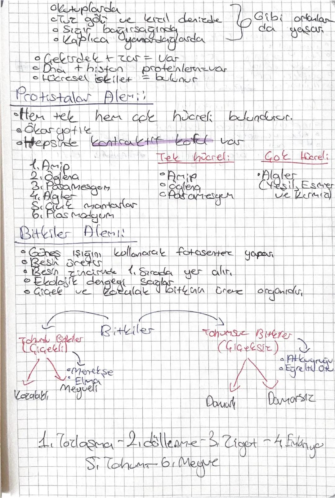 # Biyoloji

Canlıların artak özelliklerij
*   Hücresel Yapı - Hücreden Oluşur,
*   Organizasyoon = Decenı çalışma.
Beslenme Madde
Alims, Oto