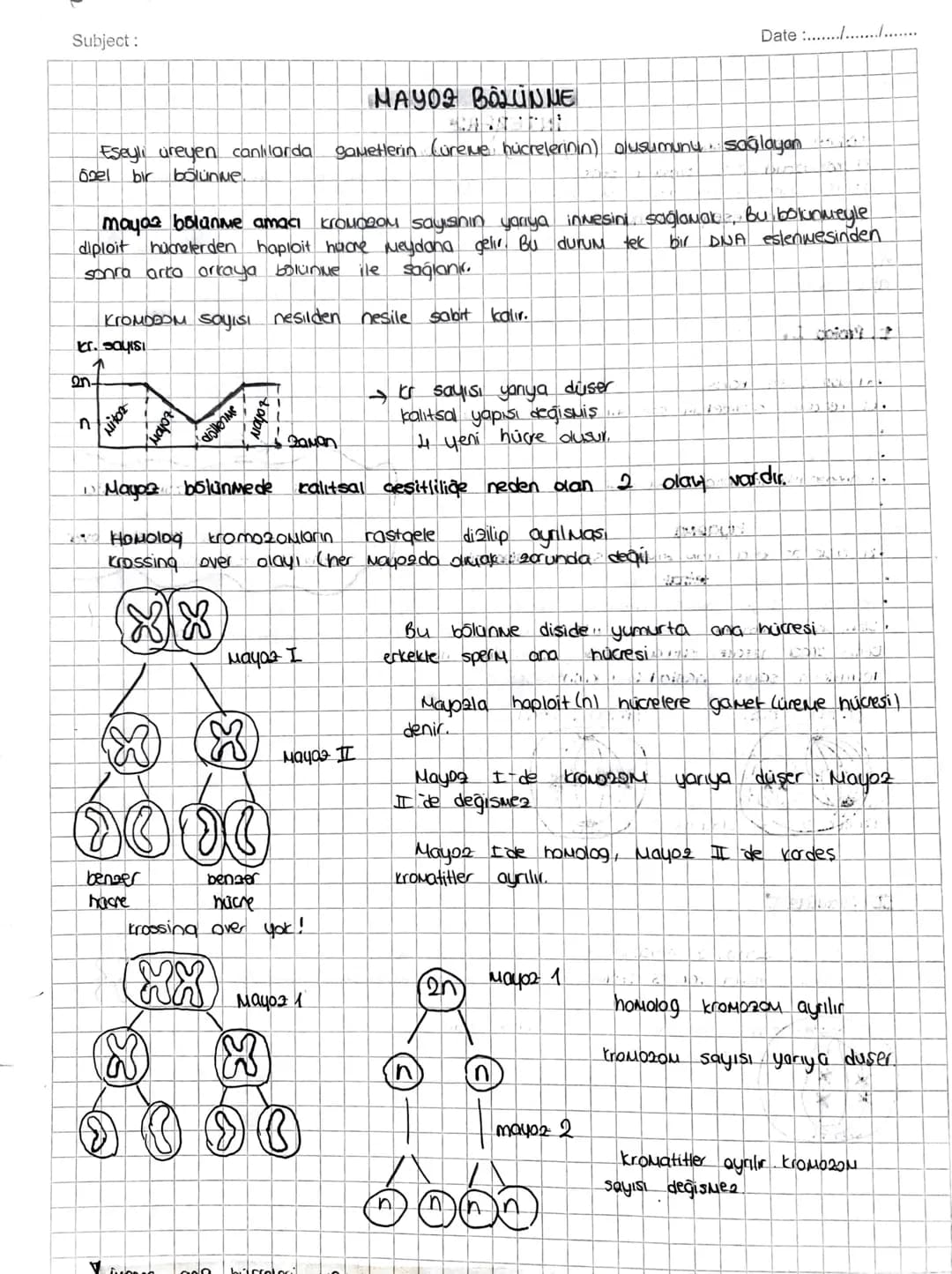 Subject:
Date ...........
Eseyli üreyen canlılarda
60el
bir bölünme
MAYOZ BÖLÜNME
gametlerin (üreme, hücrelerinin) alusumunu sağlayan
mayaz 