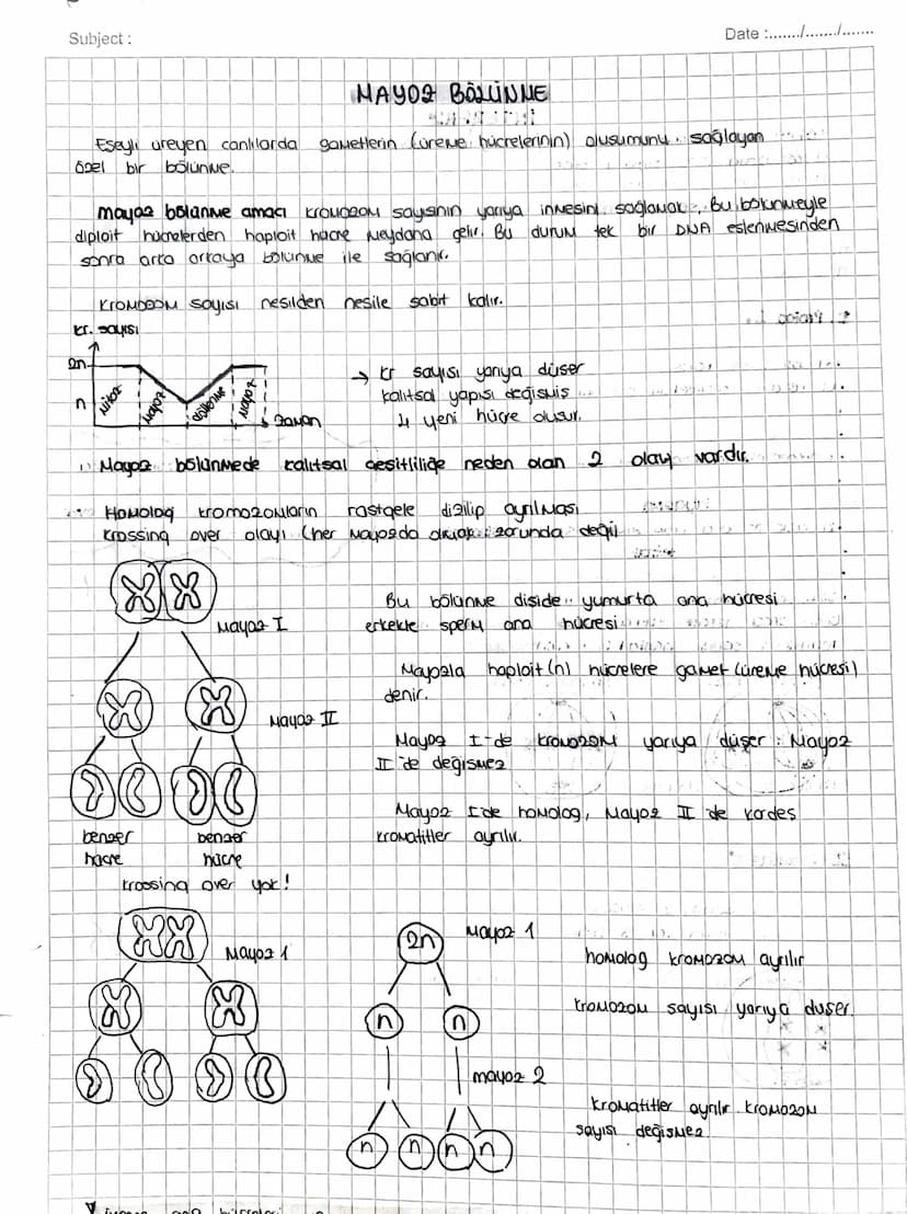 Subject:
Date ...........
Eseyli üreyen canlılarda
60el
bir bölünme
MAYOZ BÖLÜNME
gametlerin (üreme, hücrelerinin) alusumunu sağlayan
mayaz 