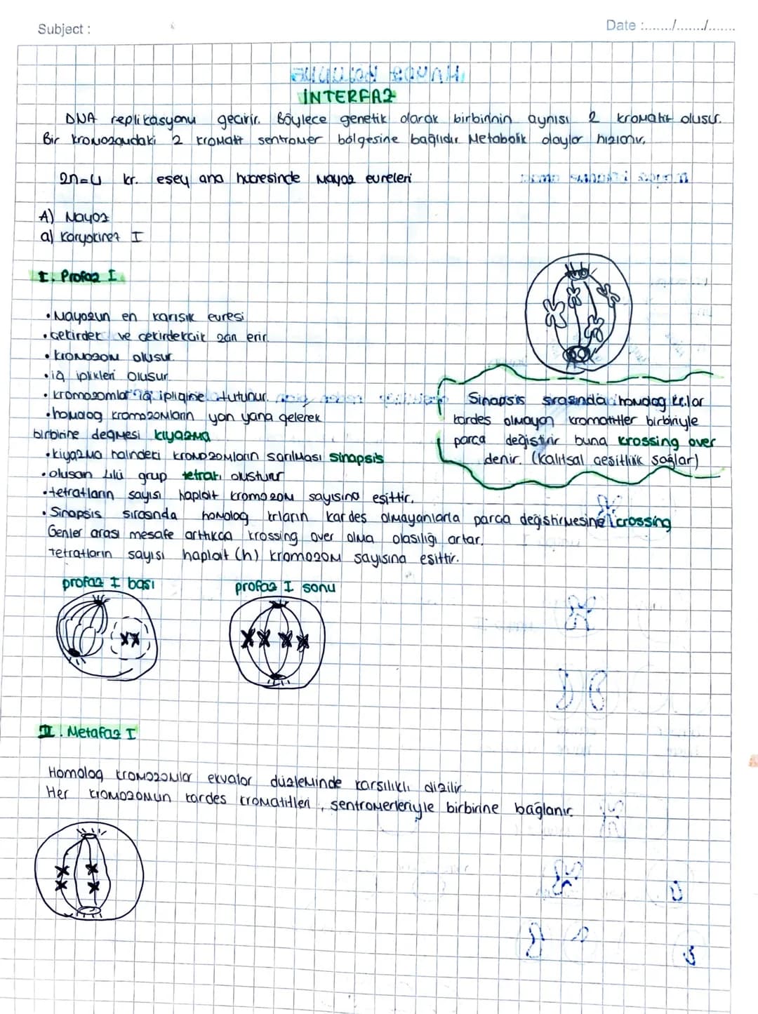 Subject:
Date ...........
Eseyli üreyen canlılarda
60el
bir bölünme
MAYOZ BÖLÜNME
gametlerin (üreme, hücrelerinin) alusumunu sağlayan
mayaz 